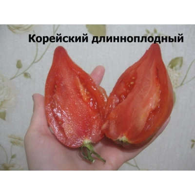 Насіння - Томат Корейський довгоплідний, 0,2 г. - Зображення 3